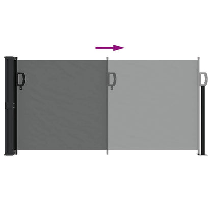 Vidaxl Toldo Lateral Retráctil Antracita 100x300 Cm_4