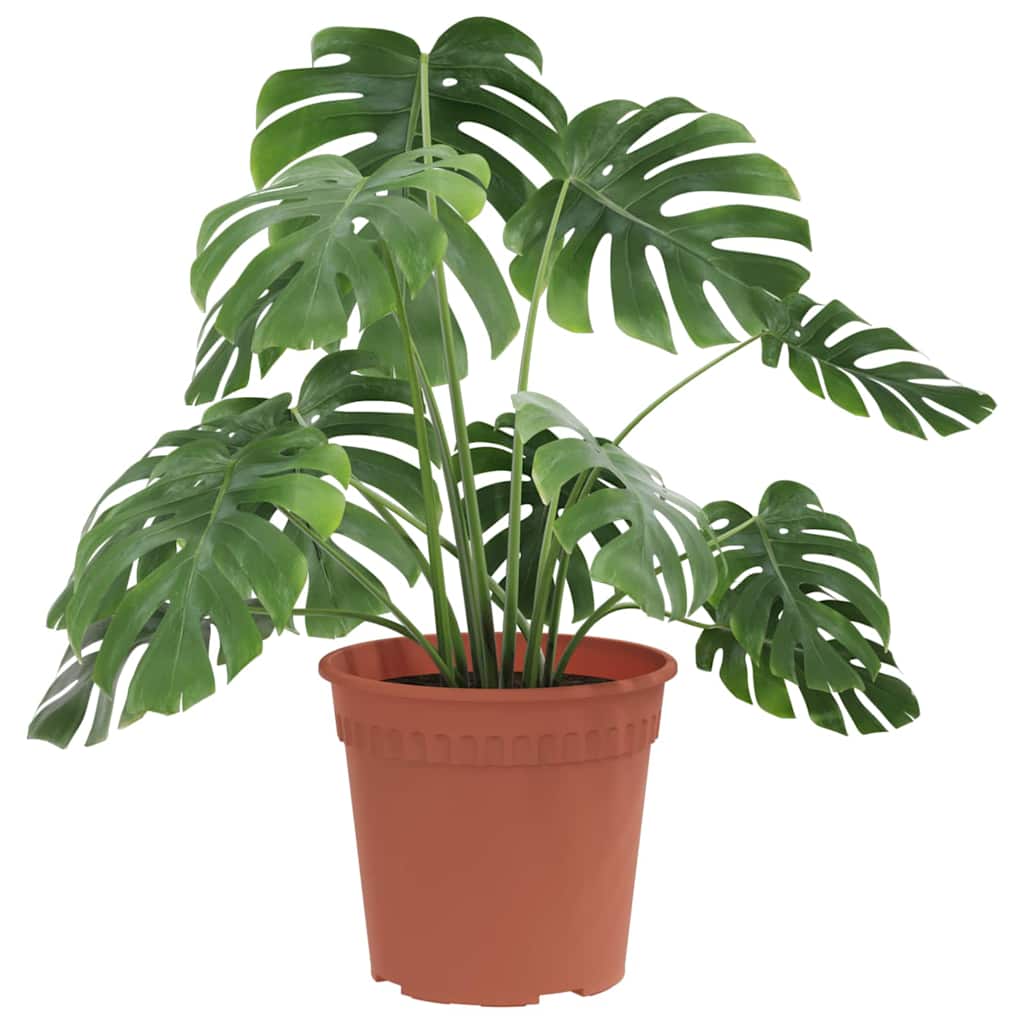 Maceta Redonda Para Flores 6 Uds. Rojo Ladrillo Ø 19 X 16,5 Cm_2