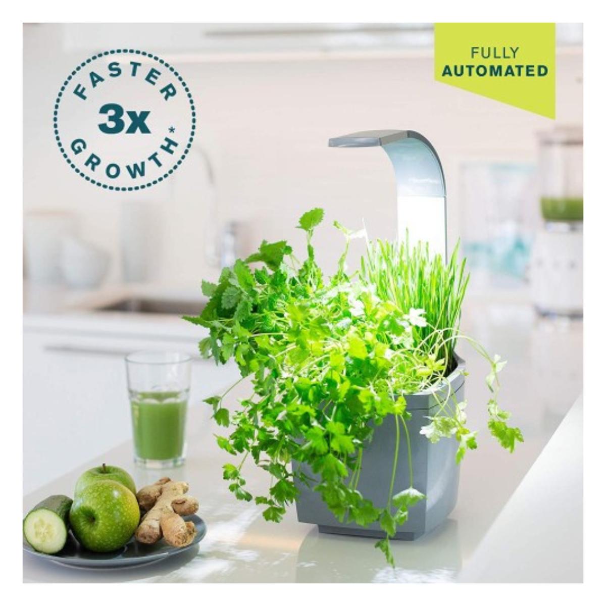 Maceta autocultivo T3 Kitchen Garden 20 x 17,5 cm Negro