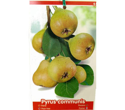 Peral Castell M25 130cm