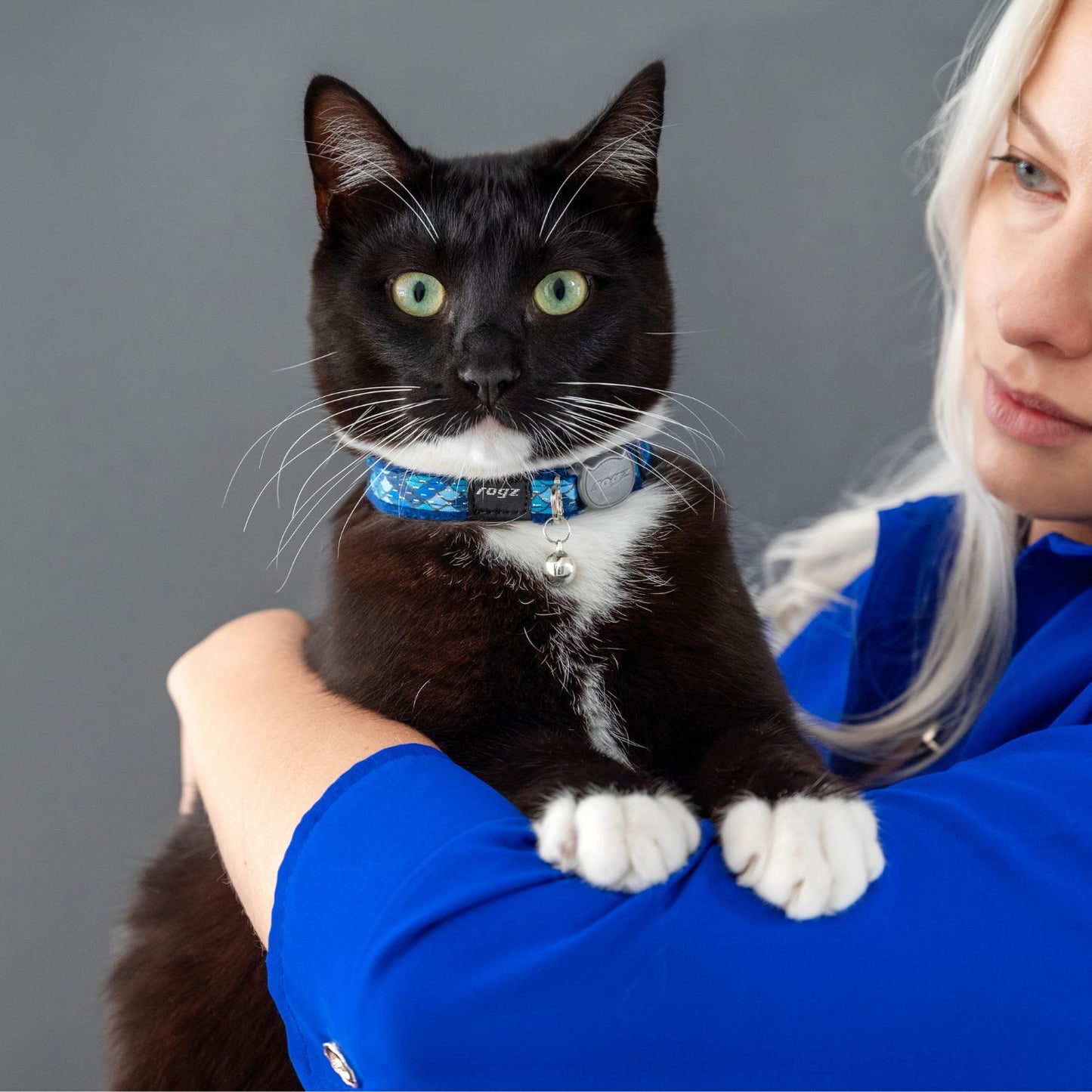 Collar Para Gato Fashioncat Estampado Azul Rogz Ajustable 20-31cm