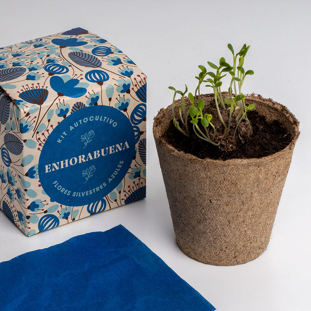 Díselo Con Flores Enhorabuena | Kit Cultivo Flores Silvestres Azules (lino Azul, Nomeolvides Y Flor Celeste)_3