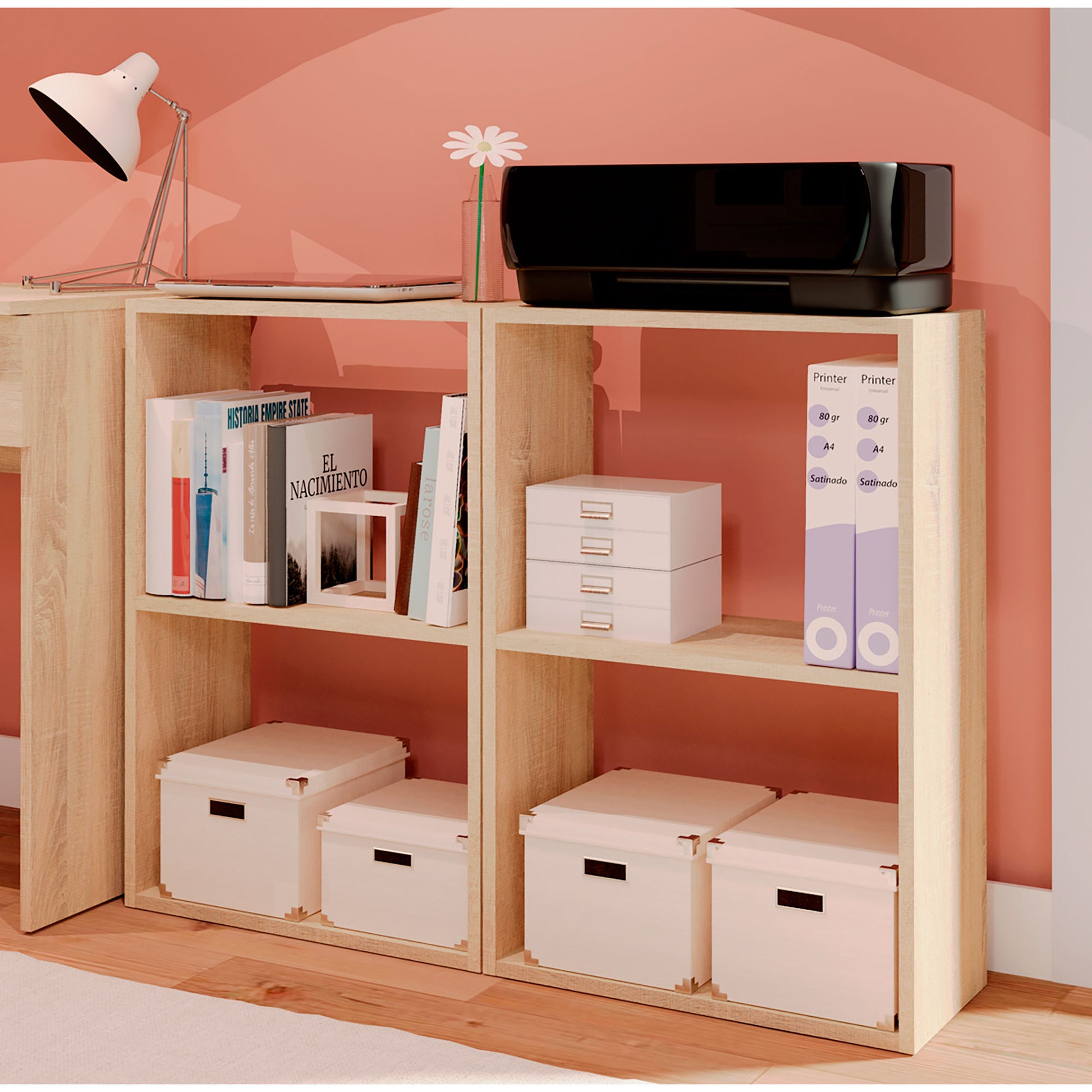 Estantería Almacenaje Libros, Muebles Salón Oficina Modernos, Librería 75x50x24,5cm Habitación, Briebe, Nova, Madera