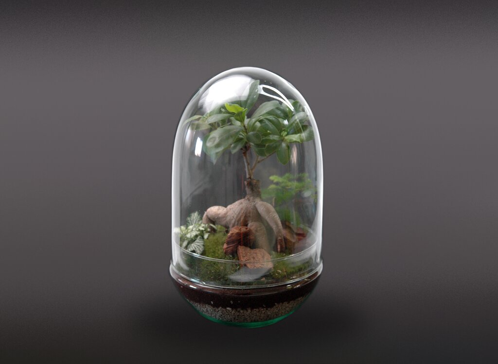 Nanogarden Terrario Jungle In Dome 30x17