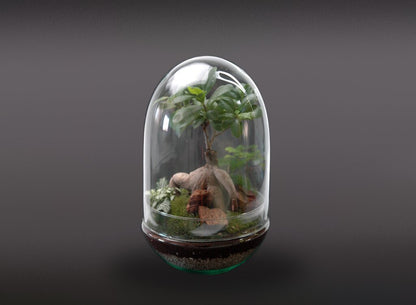 Nanogarden Terrario Jungle In Dome 30x17