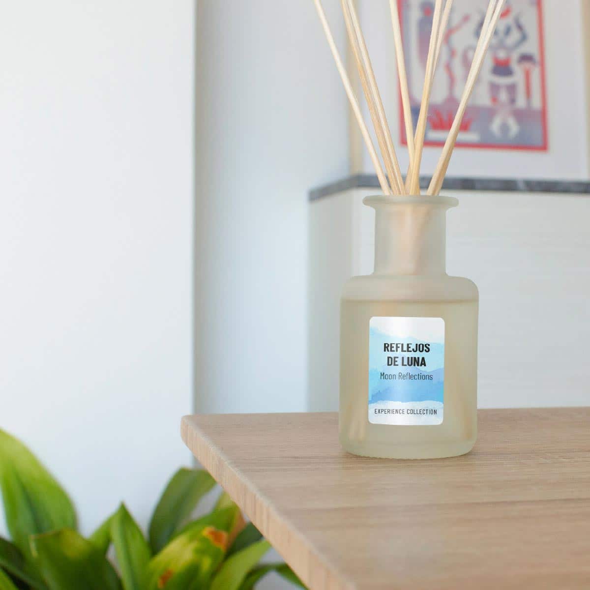 Ambientador Mikado Reflejos de Luna Experience SYS Aromas 100 ml | Aroma Fresco y Mediterráneo | Revitalizante_1