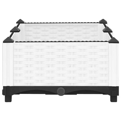 Arriate Polipropileno 80x40x23 Cm_2
