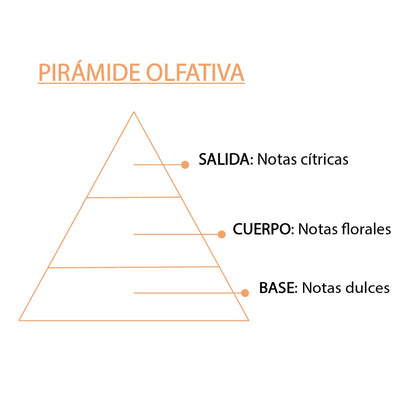 Esencia Natural Naranja 12 ml SYS Aromas | Aroma Cítrico Energizante | Difusores y Aromaterapia_3