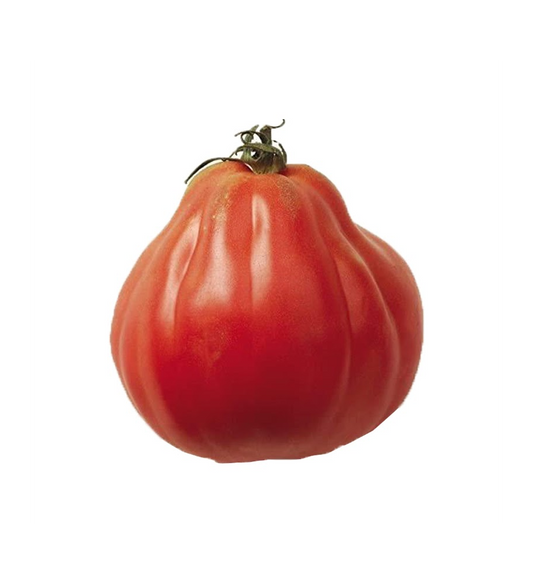 Plantón Tomate Mata-corazón De Buey (10 Unidades)_0