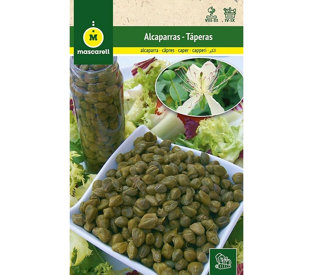 Semillas Alcaparras (táperes)
