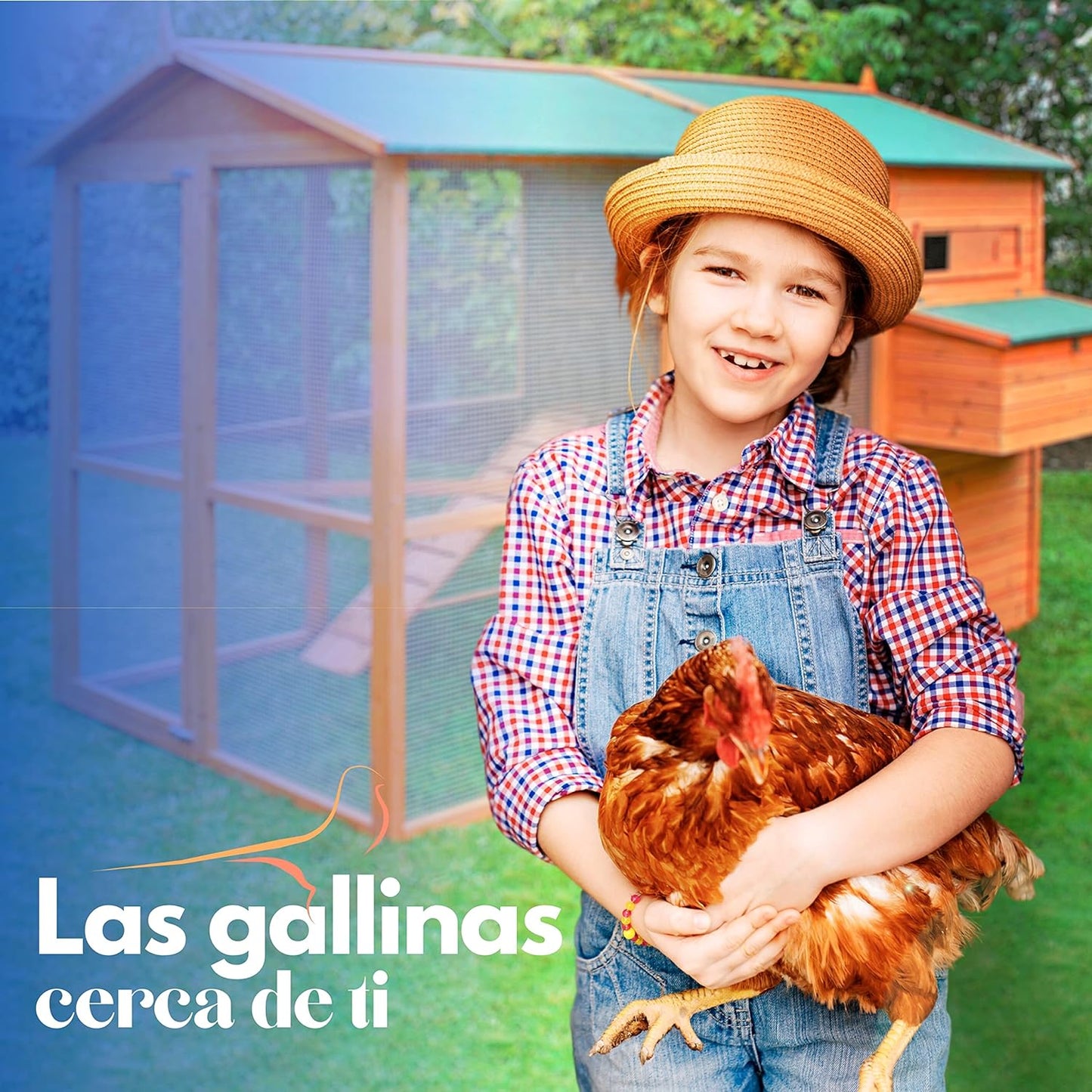 Gallinero Grande Para Exterior - Capacidad Para 8-12 Gallinas - Gallinero Calgary De Madera Con Cuatro Ponederos_5