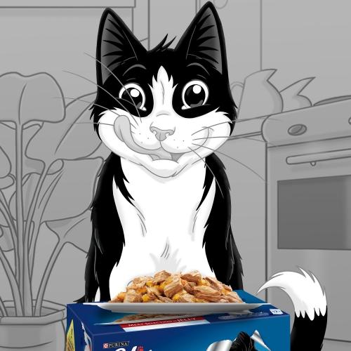 FELIX Fantastic Festín de Sabores en Gelatina 12 x 85 g