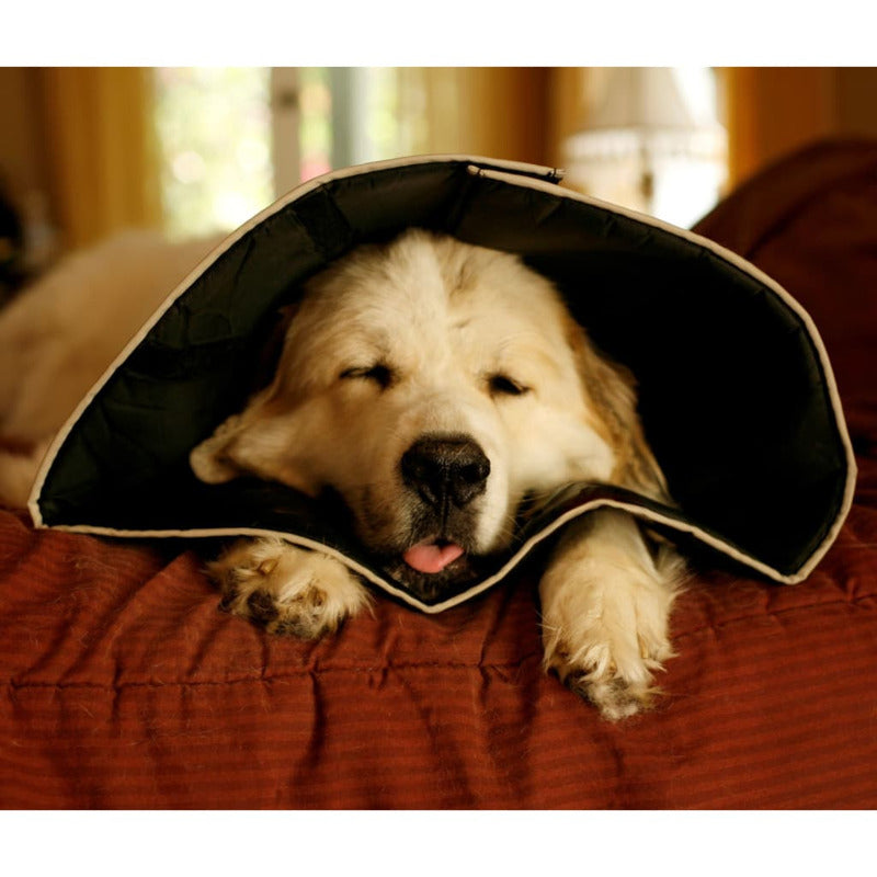 All Four Paws Collar De Recuperación Mascotas Comfy Cone Negro L 25 Cm_4