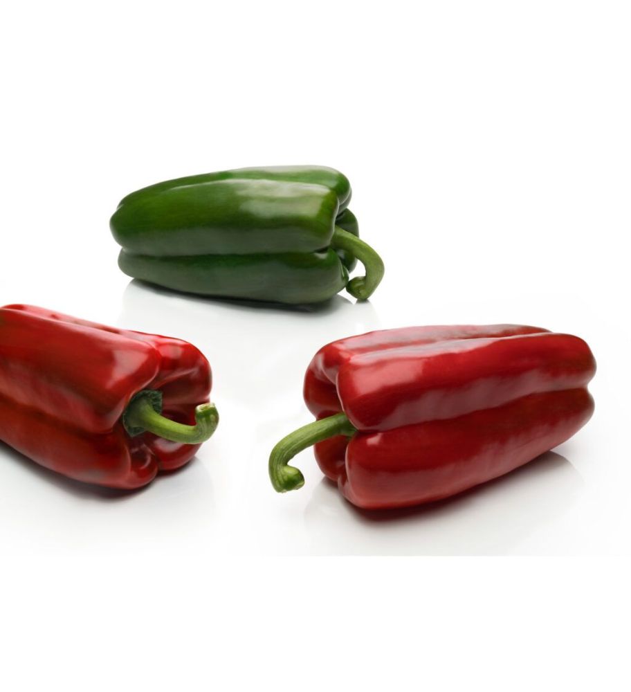 Plantón Pimiento Gordo Infante (10 Unidades)_0