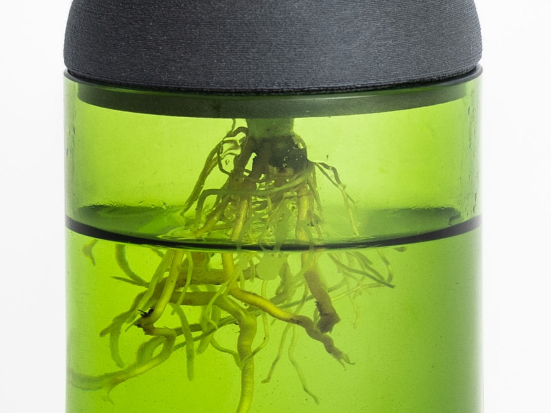 Macetero Transparente Citysens Con Soporte De Ébano – Verde, Vidrio Reutilizado Y Biofilamento De Madera 3d_1