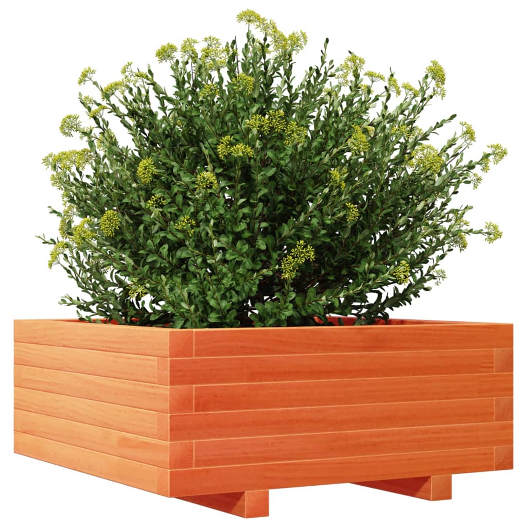 Jardinera De Madera Maciza De Pino Marrón Cera 60x60x26,5 Cm_3
