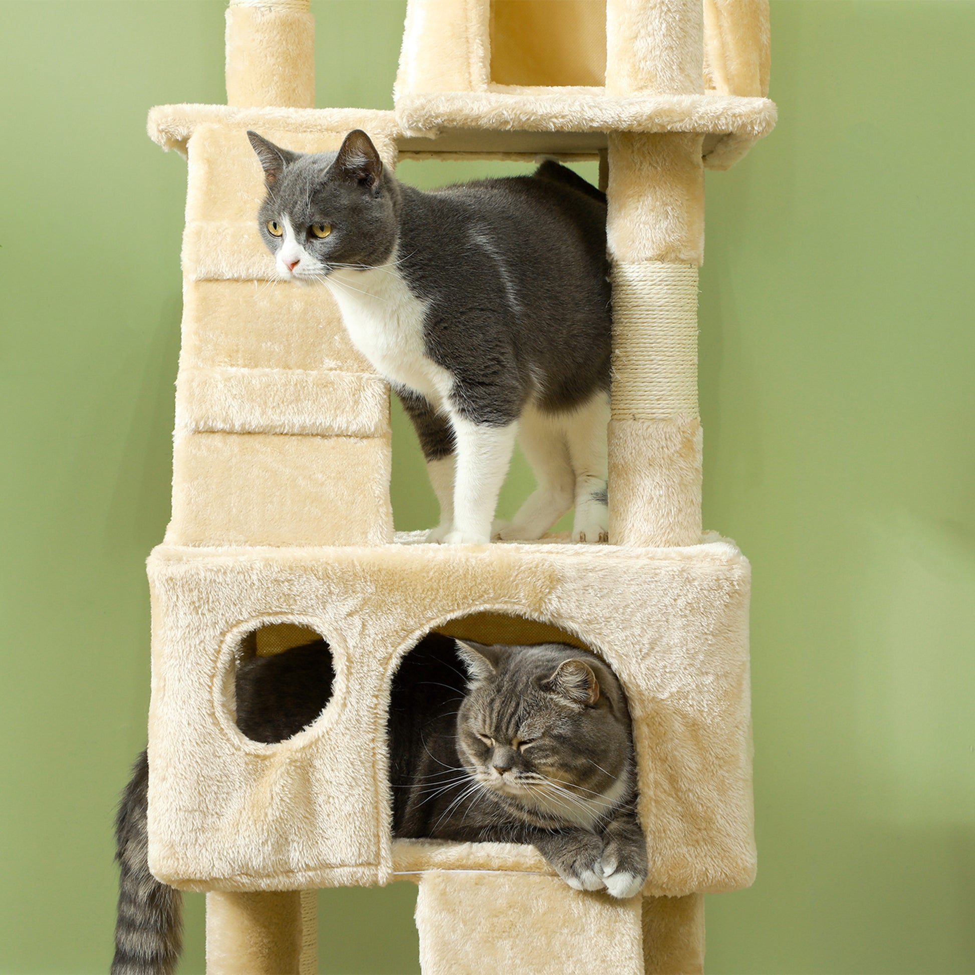 Pawhut Árbol Rascador Para Gatos Grande 49x49x173 Cm Con Múltiples Niveles Beige_3