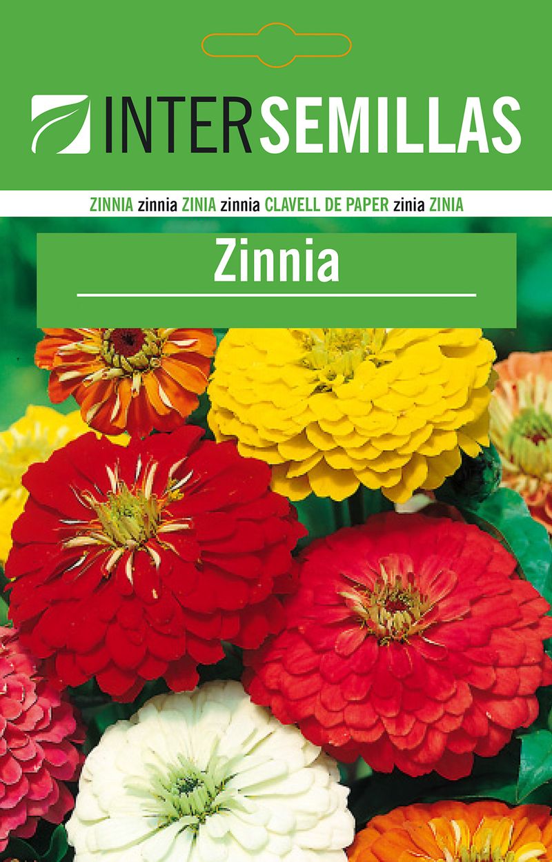 Sobre De Semillas De Zinnia_0
