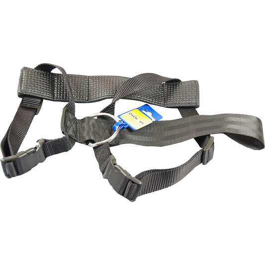 Arnés Seguridad Coche_0