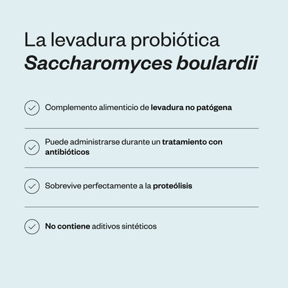 Saccharomyces Boulardii_3