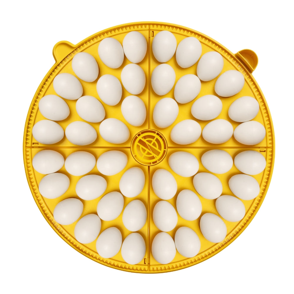 Incubadora Brinsea Maxi 48 Advance - Incubadora Para Huevos De Diferentes Especies De Ave - Con Volteo Automático_4