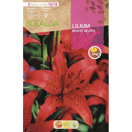 Bulbo Lilium Monte Negro Rojo 2 unidades (16/18)