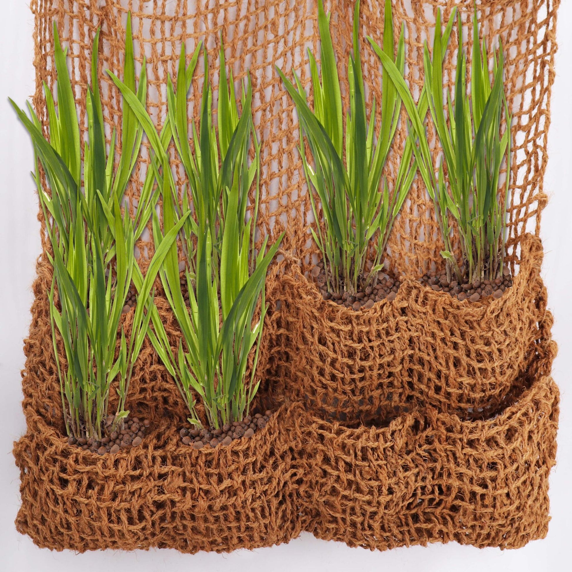 10 Bolsas Para Plantas De Tela De Coco 8 Bolsas Estera Para Bancos Estera Para Terraplén Para Revestimiento De Estanque_2