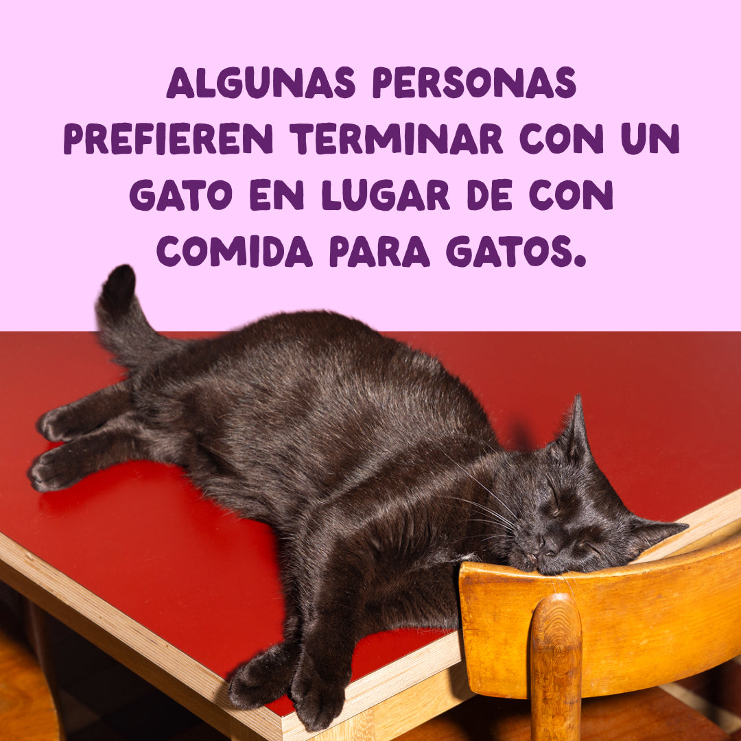Filetes de salmón y pollo para gatos Edgard & Cooper 70 g