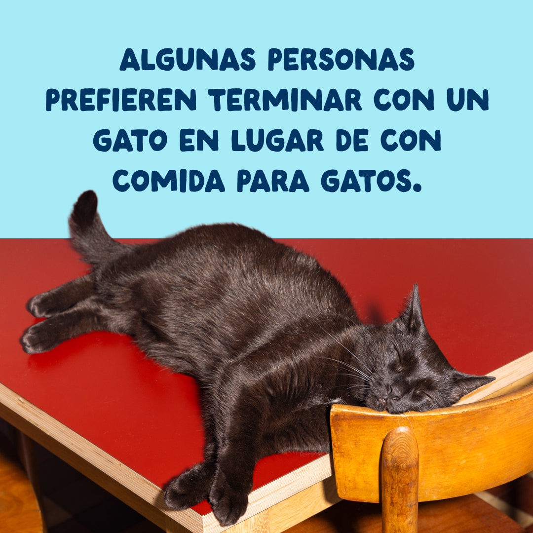 Filetes de atún con calamar para gatos Edgard & Cooper 70 g