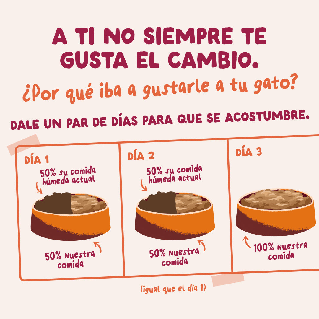 Sobres de comida húmeda para gatos Festines de la Granja Selección en Salsa | Edgard & Cooper 85 g