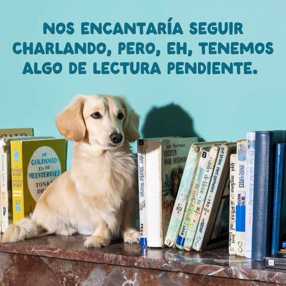Guiso para perro Edgard & Cooper 150 g