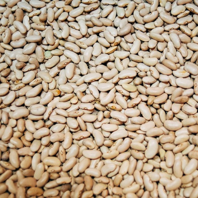 1 Kg de alubia Canela_0