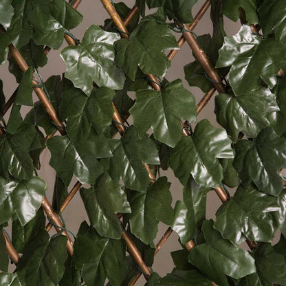 Celosia Extensible Con Hojas Basic 1x2 M Nortene_1
