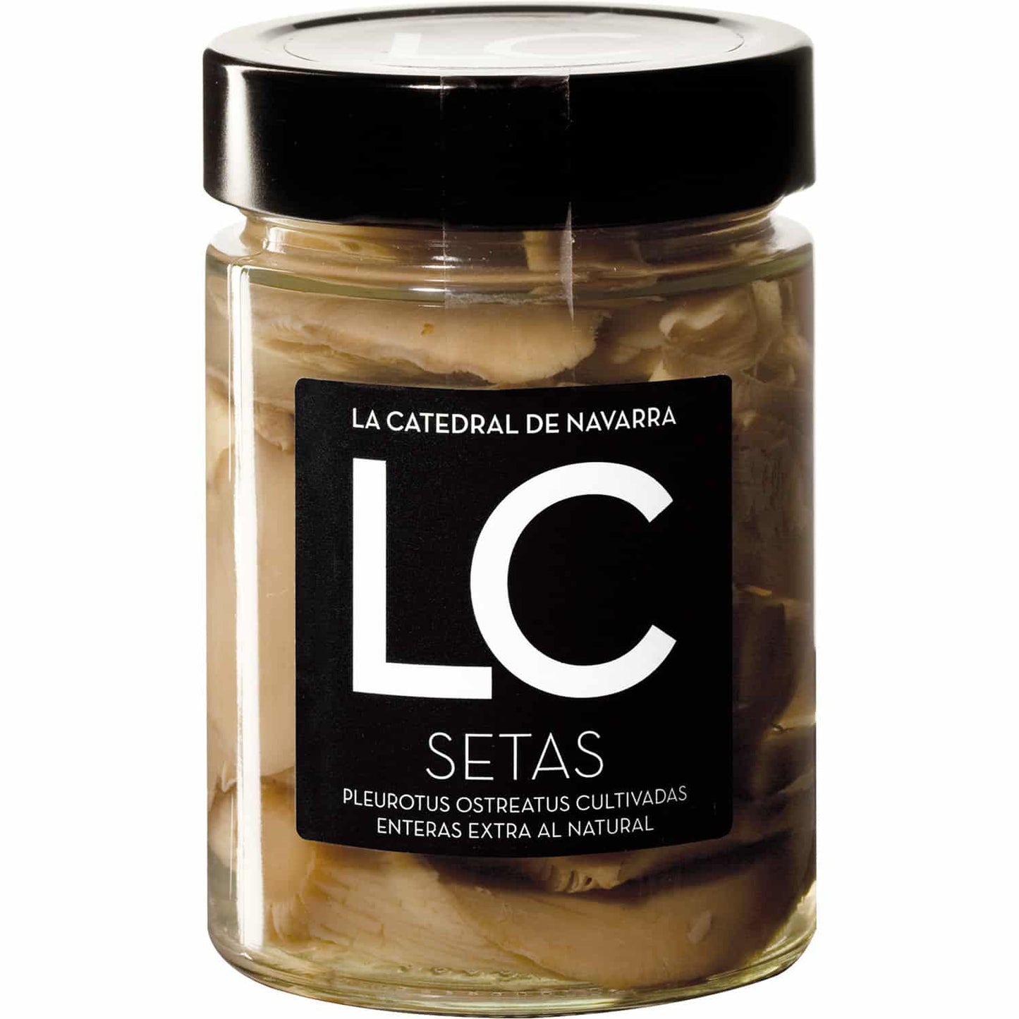 Setas Al Natural – La Catedral De Navarra_0