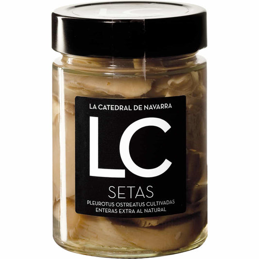Setas Al Natural – La Catedral De Navarra_0