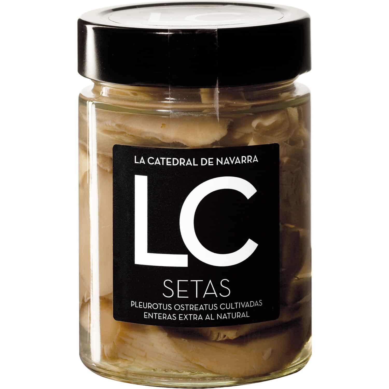 Setas Al Natural – La Catedral De Navarra_0