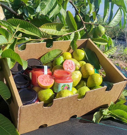 Mermelada De Guayaba Artesanal 4 Botes Tropitop
