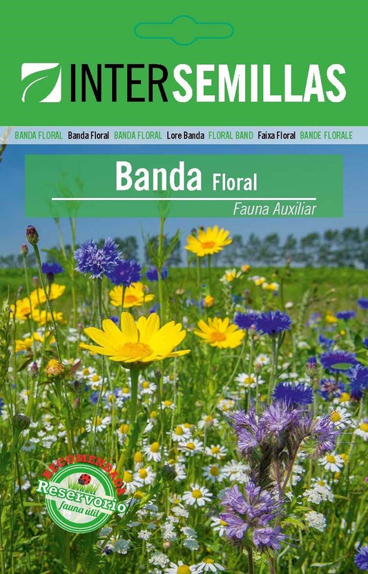 Banda Floral Fauna Auxiliar Sobre De Semillas_0