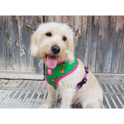 Arnés reversible para perro SAVANA Dukier XL