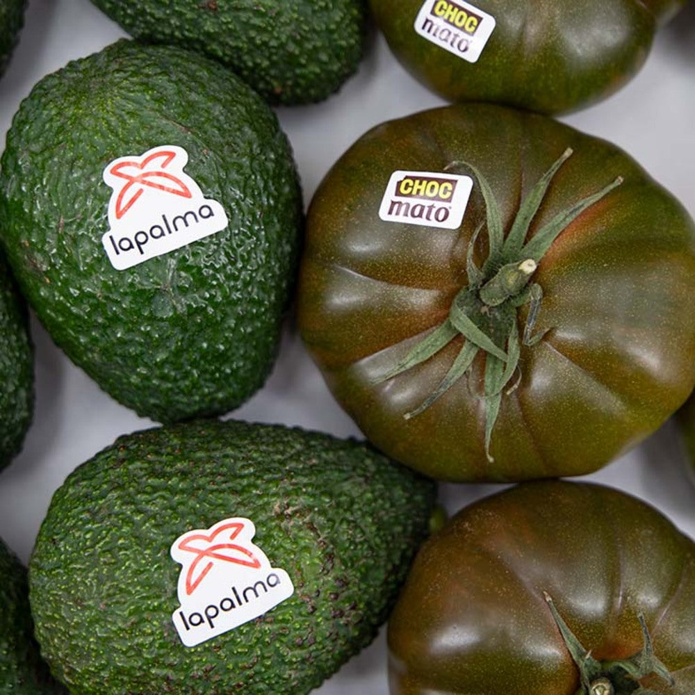 Sweet Aguacate: Adora Y Aguacate Hass_4