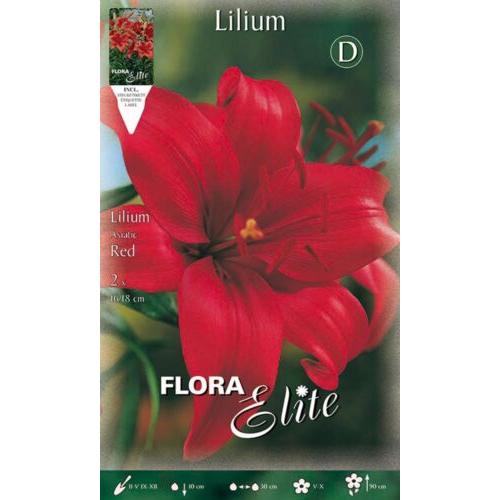 Bulbo Lilium asiatic rojo 2 uds