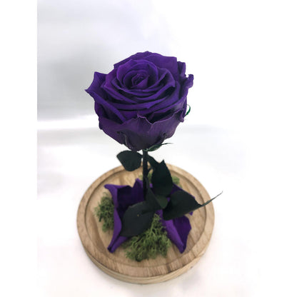 Mundo Eterno Rosa En Cúpula Lila Oscuro 12x20cm