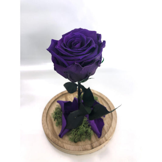 Mundo Eterno Rosa En Cúpula Lila Oscuro 12x20cm