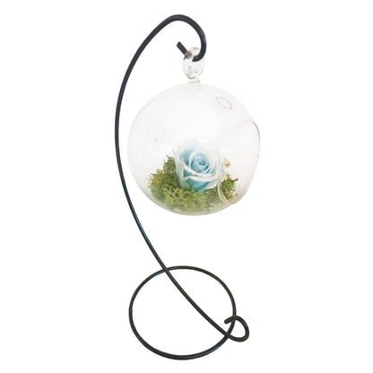 Rosa Eterna - Colgante Azul_0