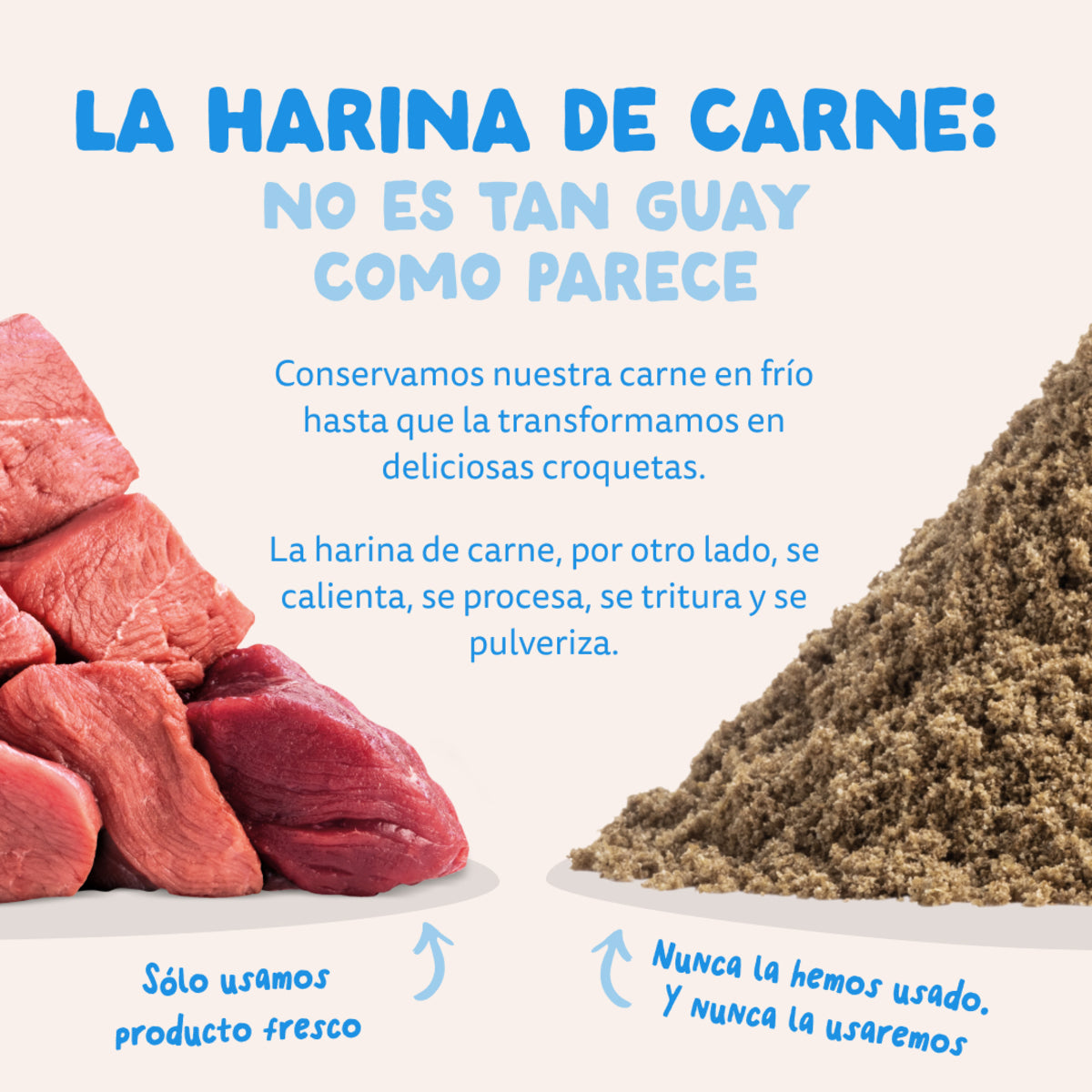 Pienso para perros Salmón Noruego Edgard & Cooper 1 Kg