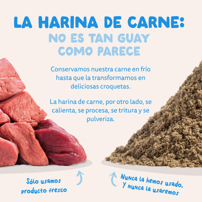Pienso para perros Salmón Noruego Edgard &amp; Cooper 1 Kg