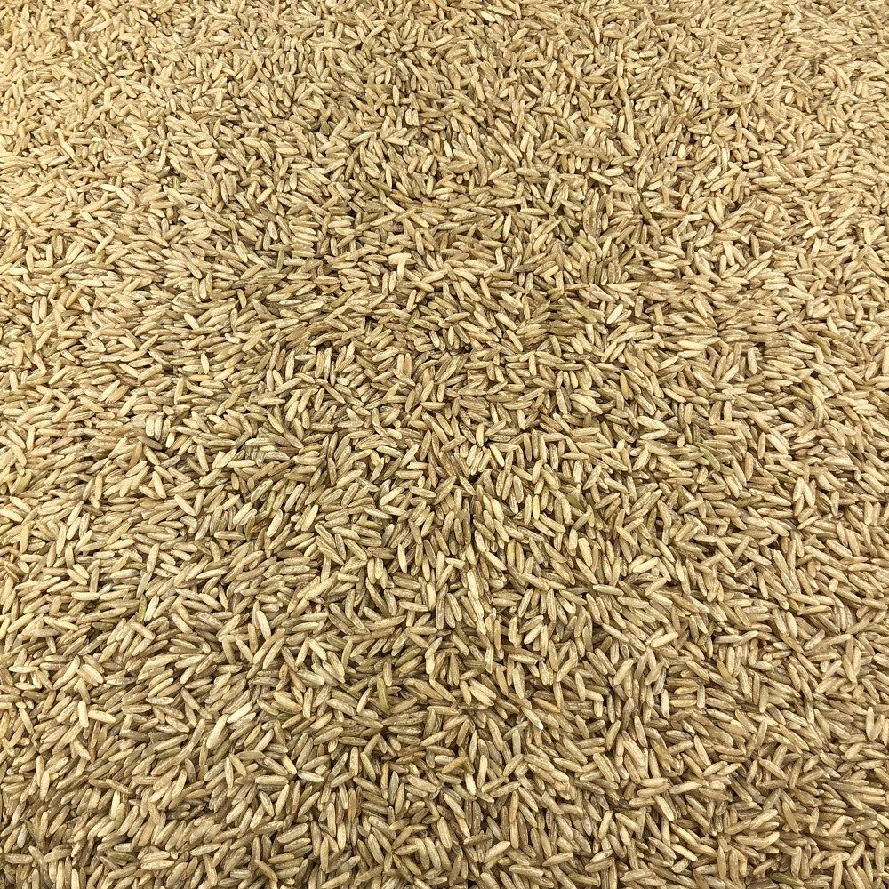Arroz Basmati Integral Ecológico A Granel 1 Kg_2