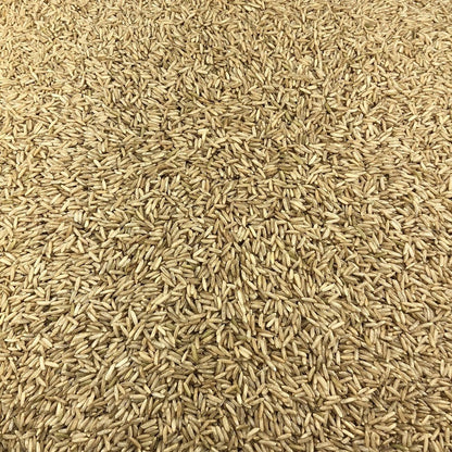 Arroz Basmati Integral Ecológico A Granel 0,25 Kg_2