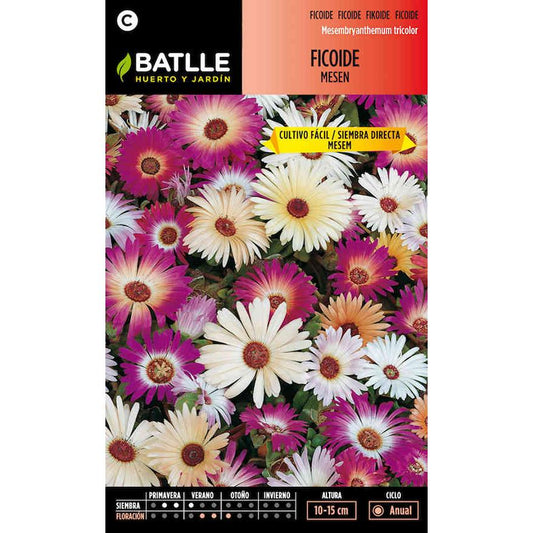 Semillas de Ficoide Messen