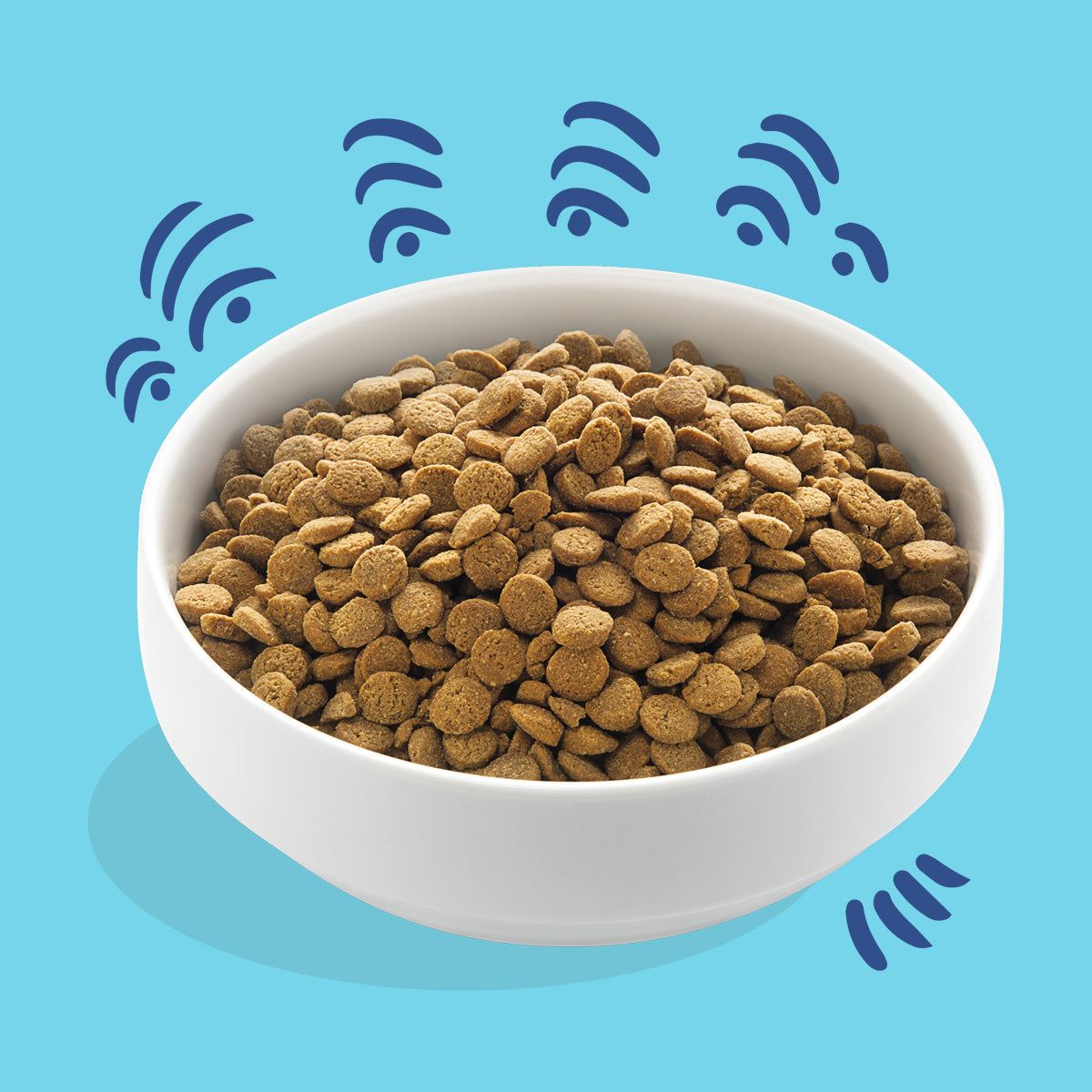 Pienso para perros Salmón Noruego Edgard & Cooper 7 kg